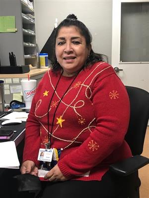 school librarian