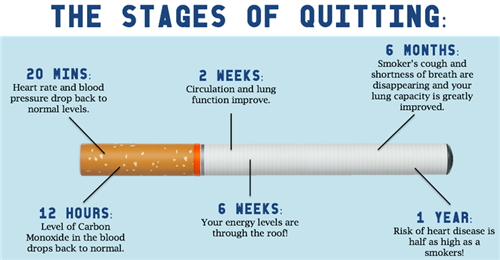 Employee Well-Being / Smoking Cessation