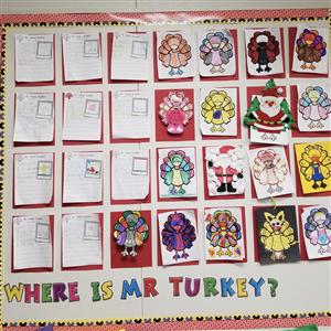 Turkeys in Disguise project 