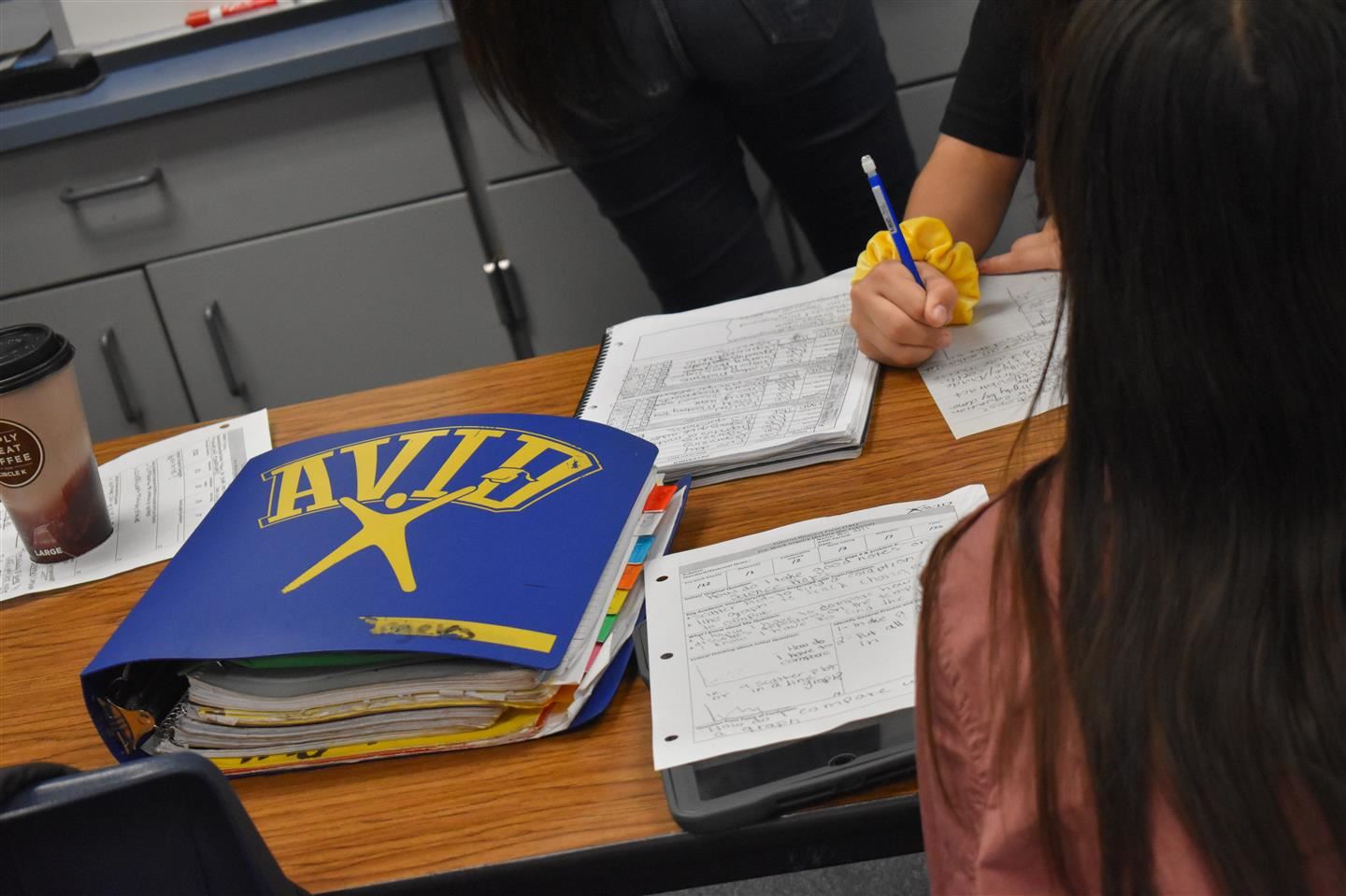 AVID binder 